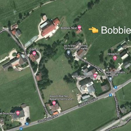 Bobbies Nest Villa Schladming Exterior foto