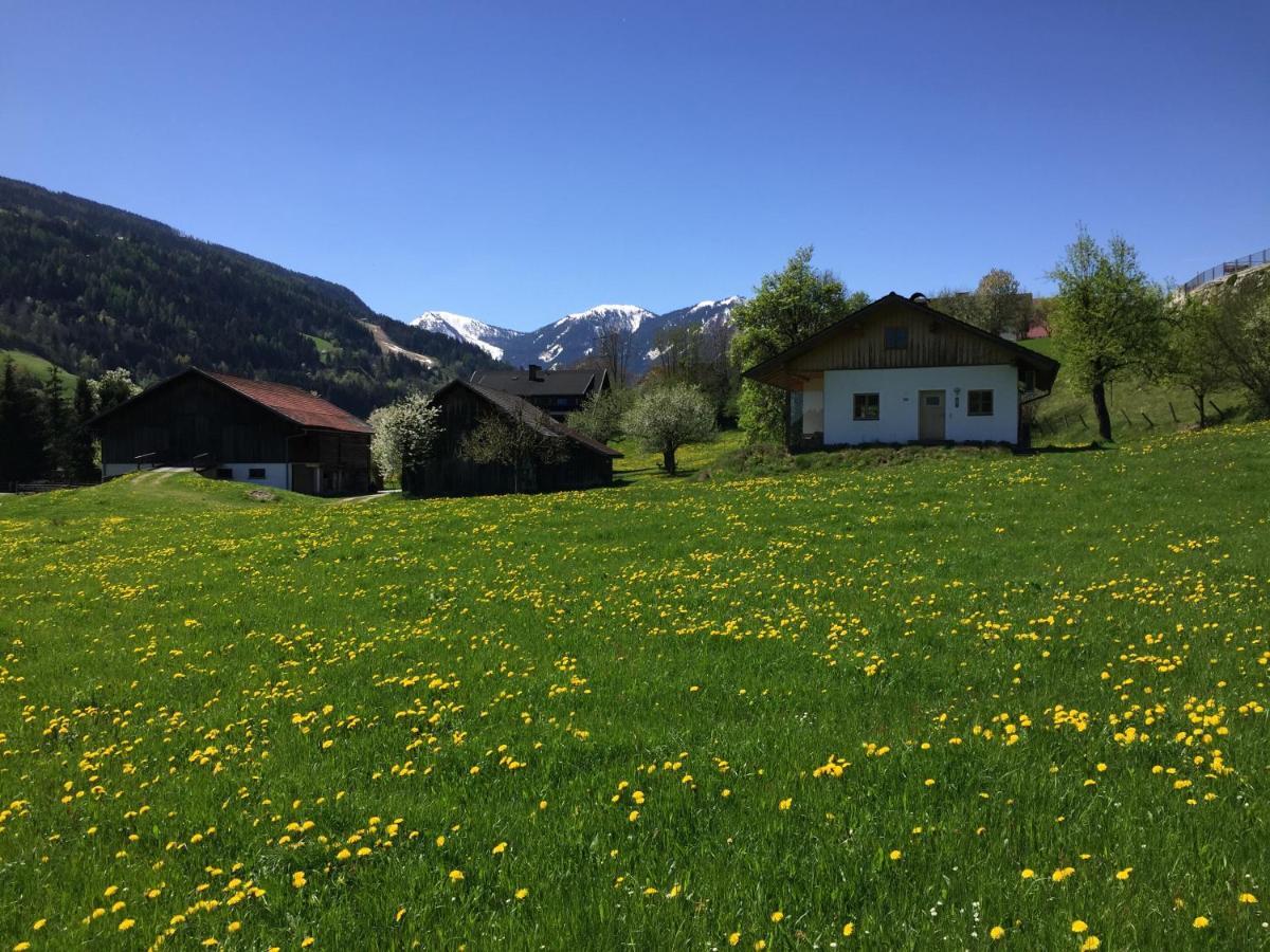 Bobbies Nest Villa Schladming Exterior foto